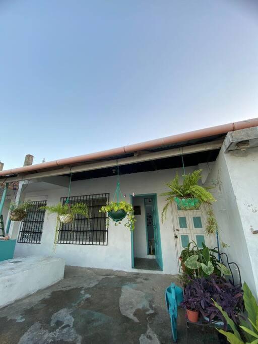 Casa D'andrea 301