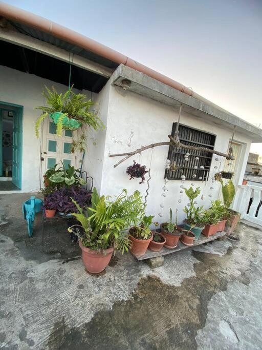 Casa D'andrea 301